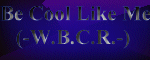 Be Cool Like Me (-White Boyz Can't Rap-)