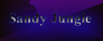 Sandy Jungle